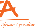 IITA (International Institute of Tropical Agriculture)