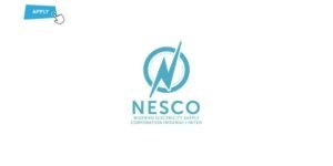 The Nigerian Electricity Supply Corporation (NESCO)